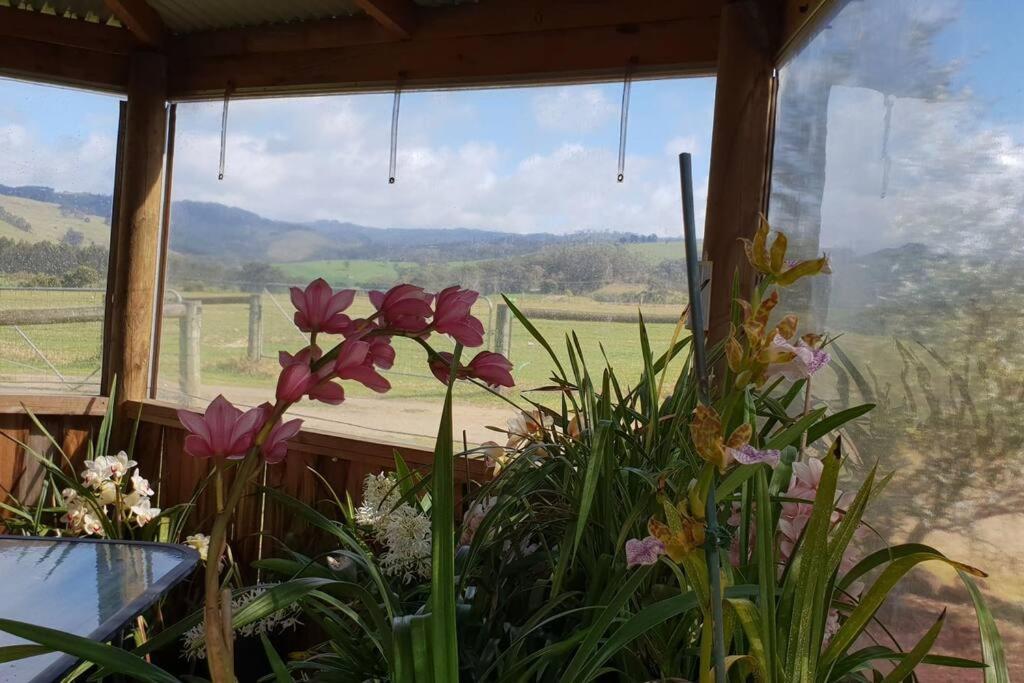 Handsome Hills Dairy Retreat Won Wron Eksteriør billede